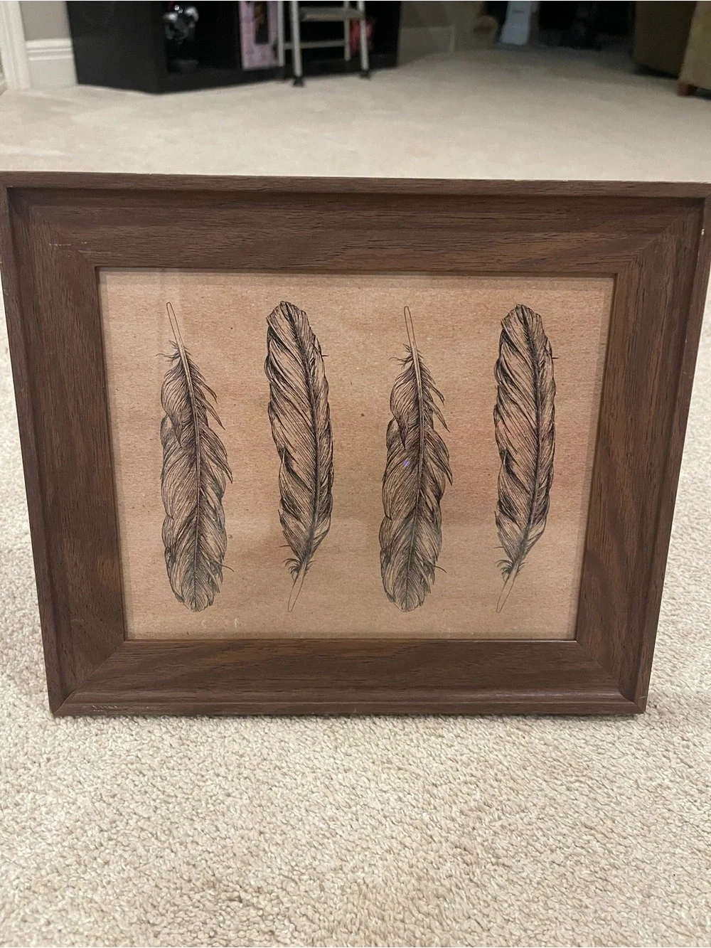Framed Feather Wall Art - Brown Wood Frame 8.5”x11”